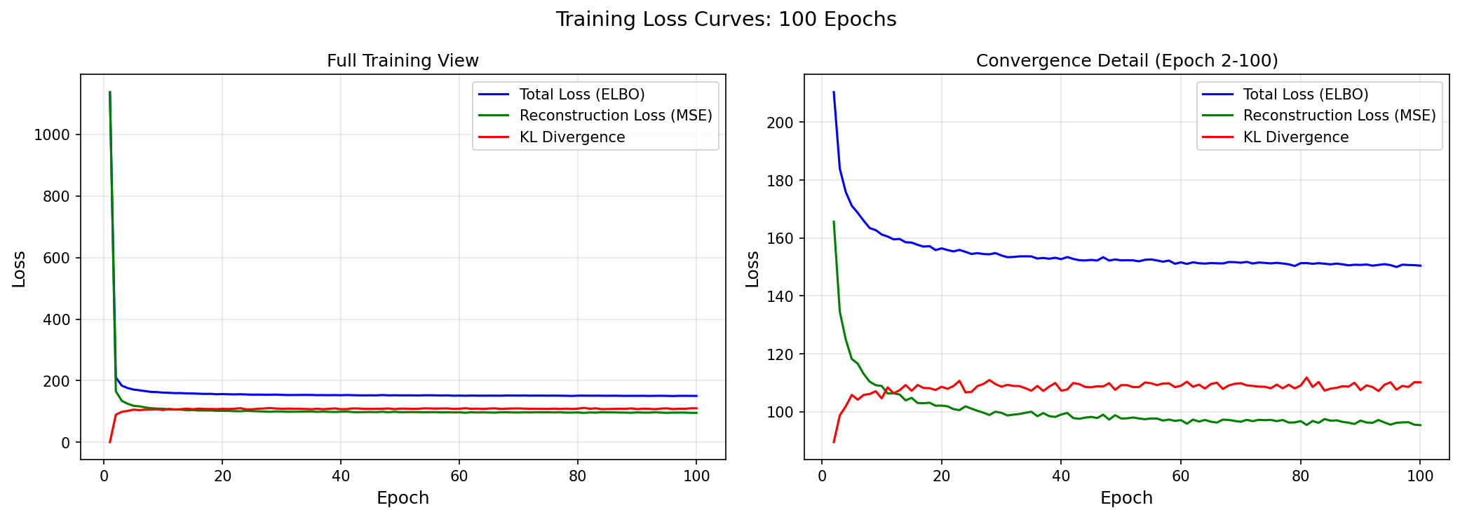 Loss Curves